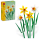 Klocki LEGO® LEGO Botanicals 40747 Żonkile